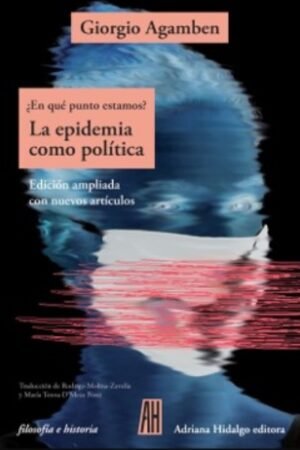 EN QUE PUNTO ESTAMOS LA EPIDEMIA COMO POLITICA