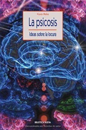 LA PSISOCIS IDEAS SOBRE LA LOCURA