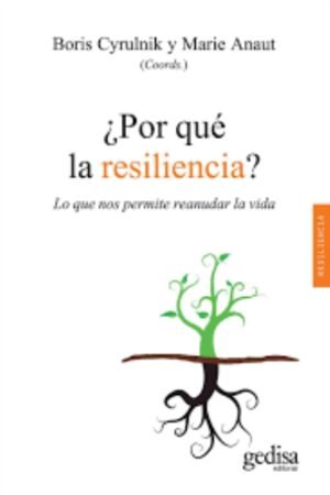 POR QUE LA RESILIENCIA
