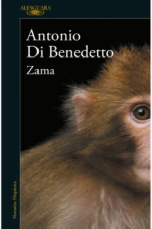 ZAMA