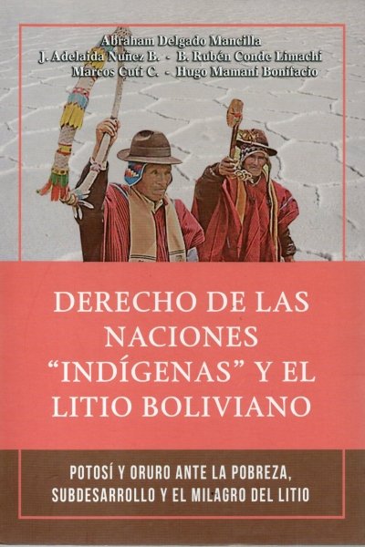 DERECHO DE LAS NACIONES INDIGENAS Y EL LITIO BOLIVIANO