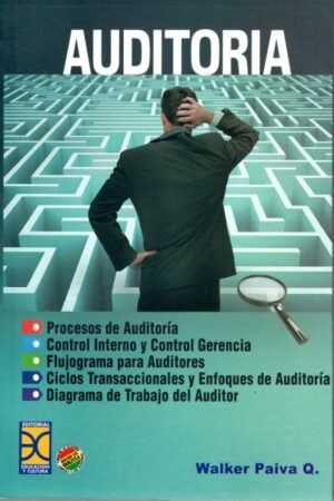 AUDITORIA PROCESOS DE AUDITORIA