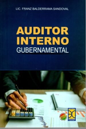 AUDITOR INTERNO GUBERNAMENTAL