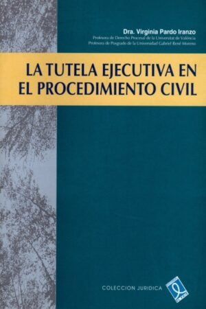 LA TUTELA EJECUTIVA EN EL PROCEDIMIENTO CIVIL