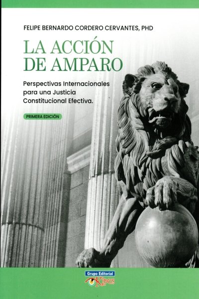 ACCION DE AMPARO. PERSPECTIVAS INTERNACIONALES PARA UNA JUSTICIA CONSTITUCIONAL EFETIVA.
