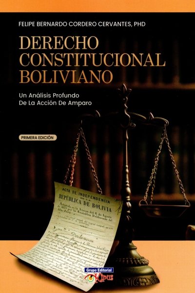 DERECHO CONSTITUCIONAL BOLIVIANO. UN ANALISIS PROFUNDO DE LA ACCION DE AMPARO