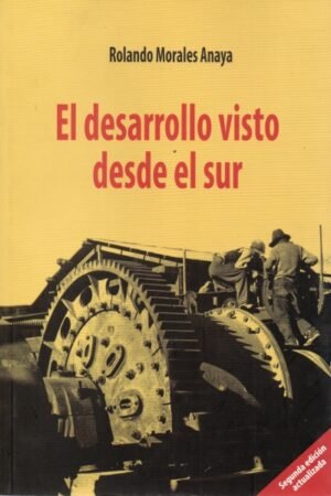 DESARROLLO VISTO DESDE EL SUR EL
