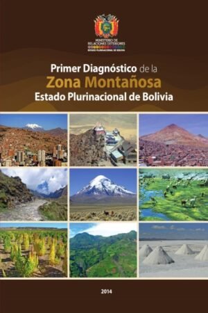 PRIMER DIAGNOSTICO DE LA ZONA MONTAÑOSA ESTADO PLURINACIONAL DE BOLIVIA