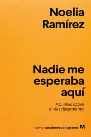 NADIE ME ESPERABA AQUÍ. APUNTES SOBRE EL DESCLASAMIENTO