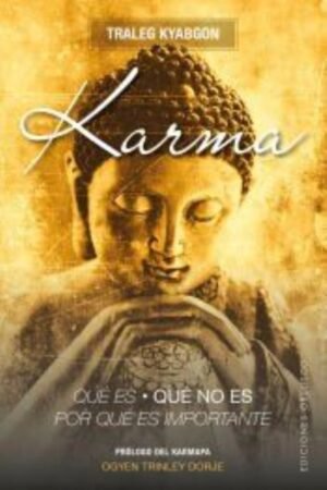 KARMA. QUÉ ES QUÉ NO ES POR QUÉ ES IMPORTANTE