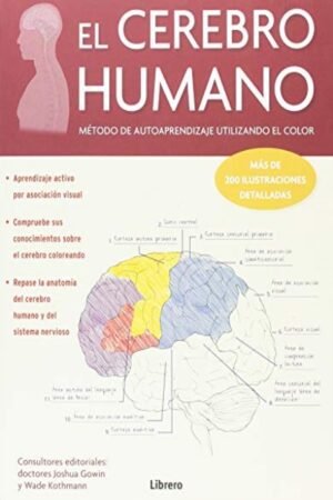 CEREBRO HUMANO EL