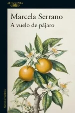 A VUELO DE PAJARO