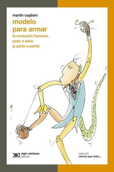 MODELO PARA ARMAR LA EVOLUCION HUMANA PASO A PASO