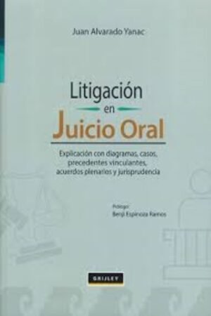 LITIGACION EN JUICIO ORAL